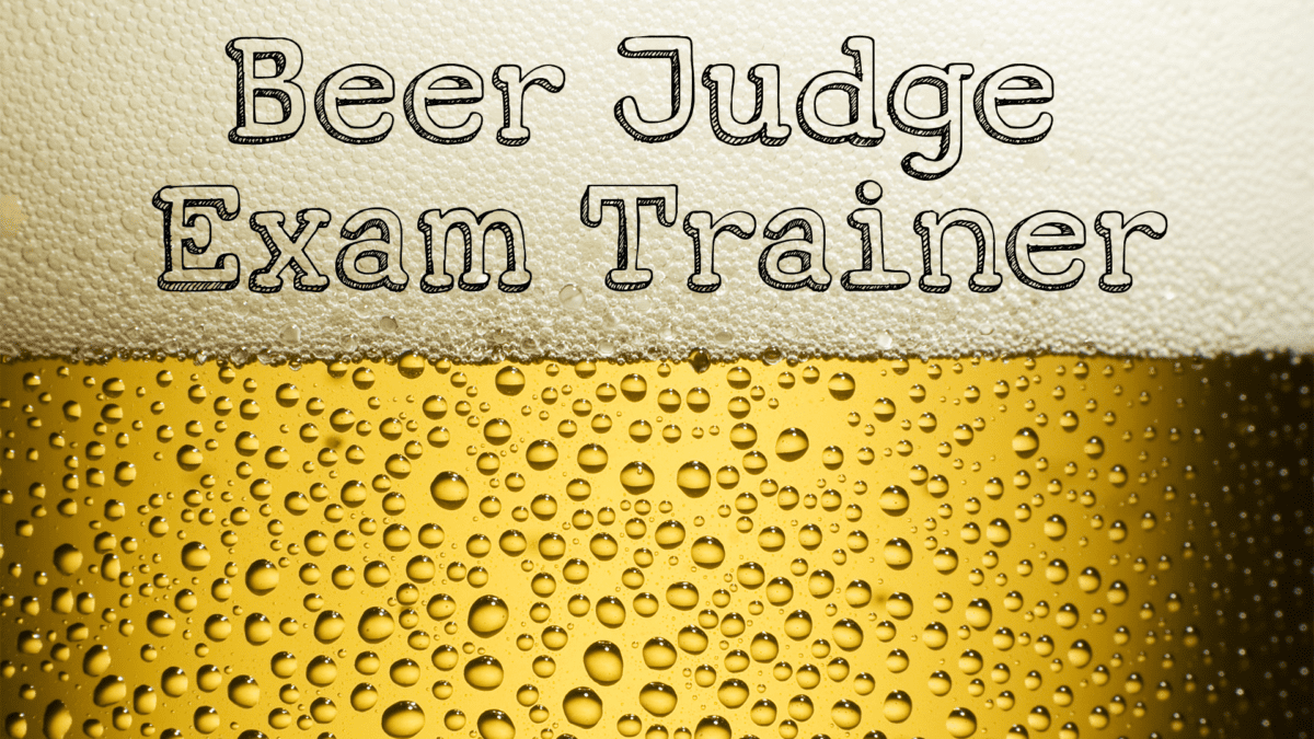Hey Google, talk to the Beer Judge Exam Trainer!